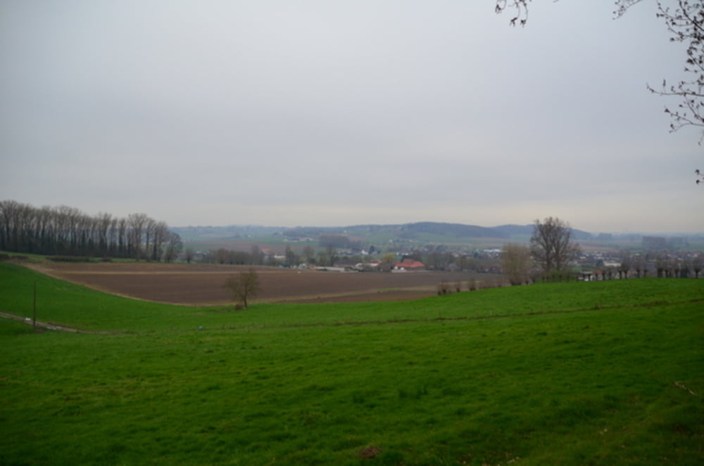 Natuurwandeling Leupegem