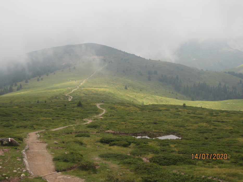 Vöraneralm/Moschwald Alm. Von Marling/Vöran