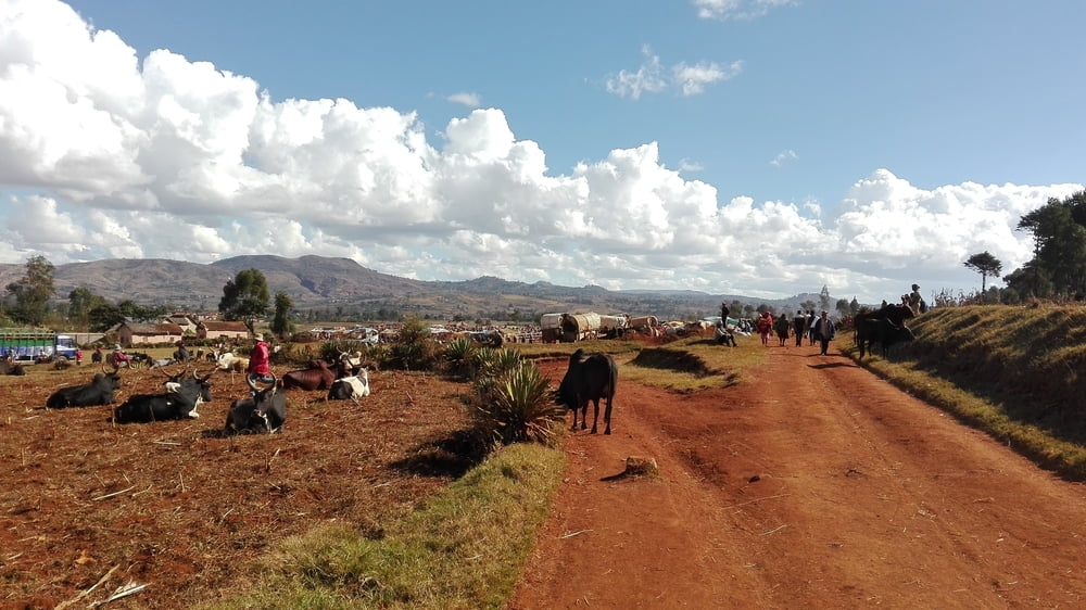 Madagaskar Etappe 02_Vulkansee Rundtour