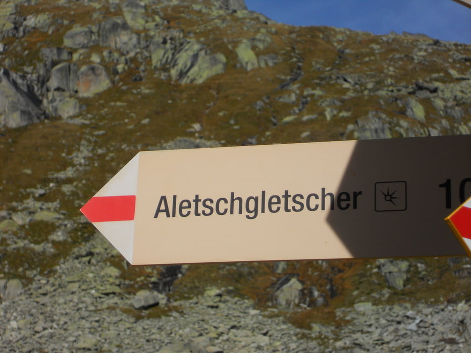 Al cospetto del ghiacciaio dell'Altesch nella valle di Goms