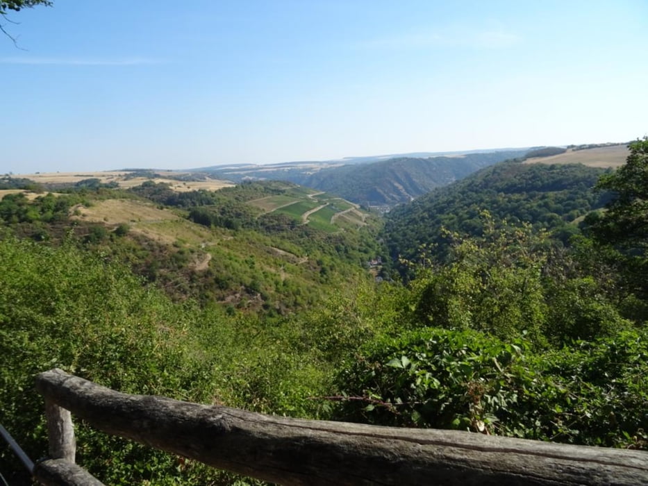 Blick in Rheintal von der 'Guckshöll'