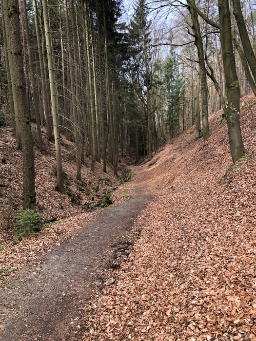 Bad Klosterlausnitz: 4 Täler, viele Trails und ein paar Mühlen