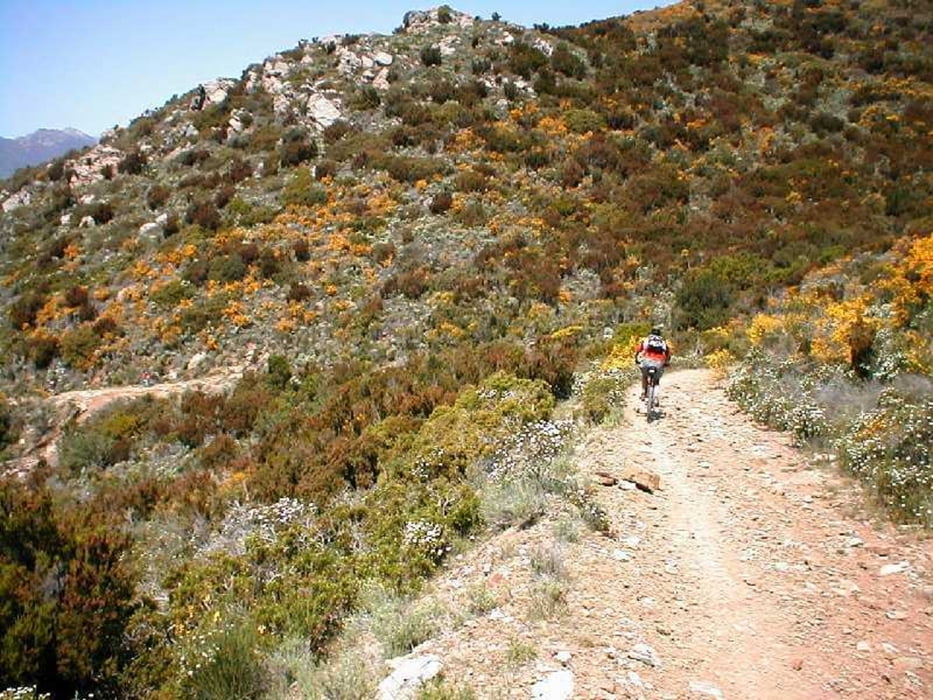 bike trekking del monte tambone