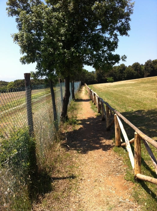 Barattitrail Variante