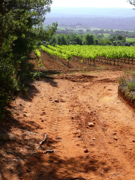 Weinberge, Lavendel und Ockerfelsen rund um Villes sur Auzon