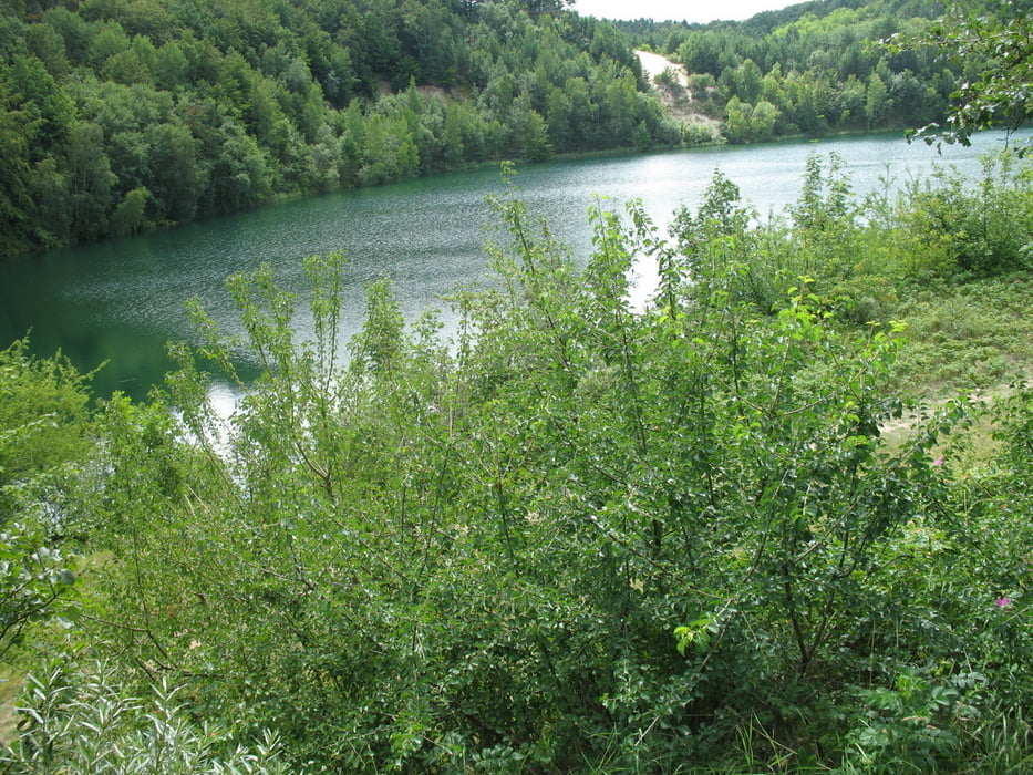 Swinemünde Naturpark Wollin