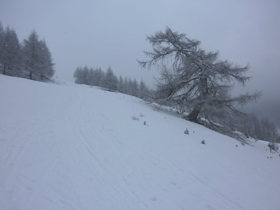 Pichlberg - Getrum Alm bei Schneetreiben