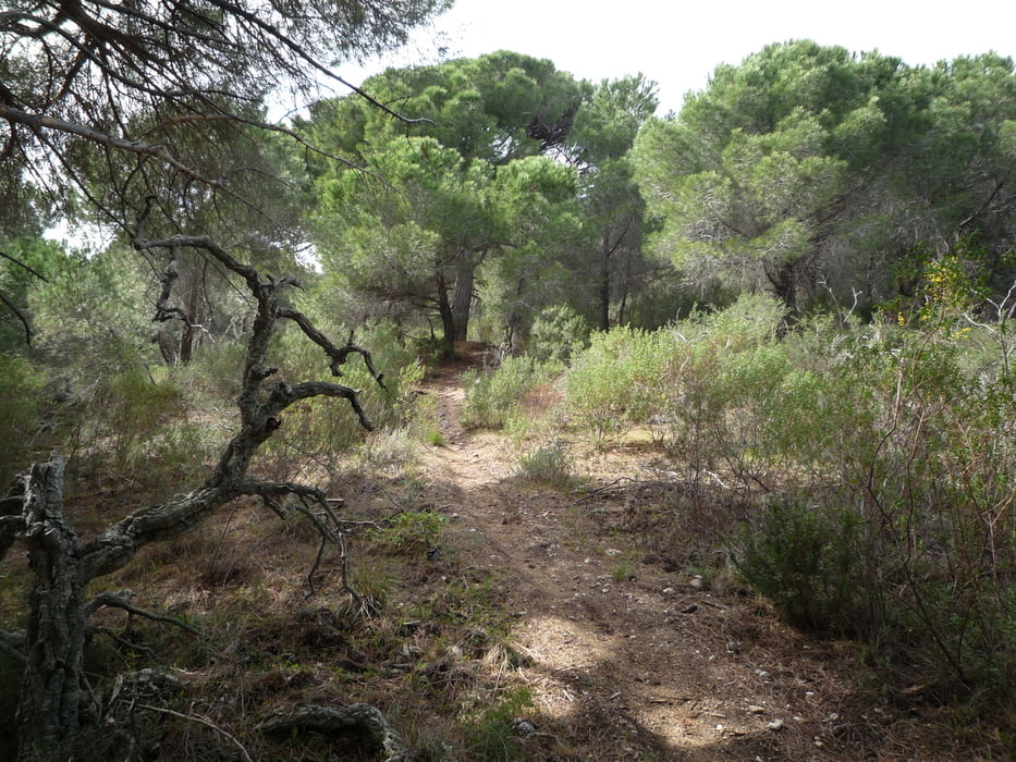 kleine Trailtour um Ramatuelle