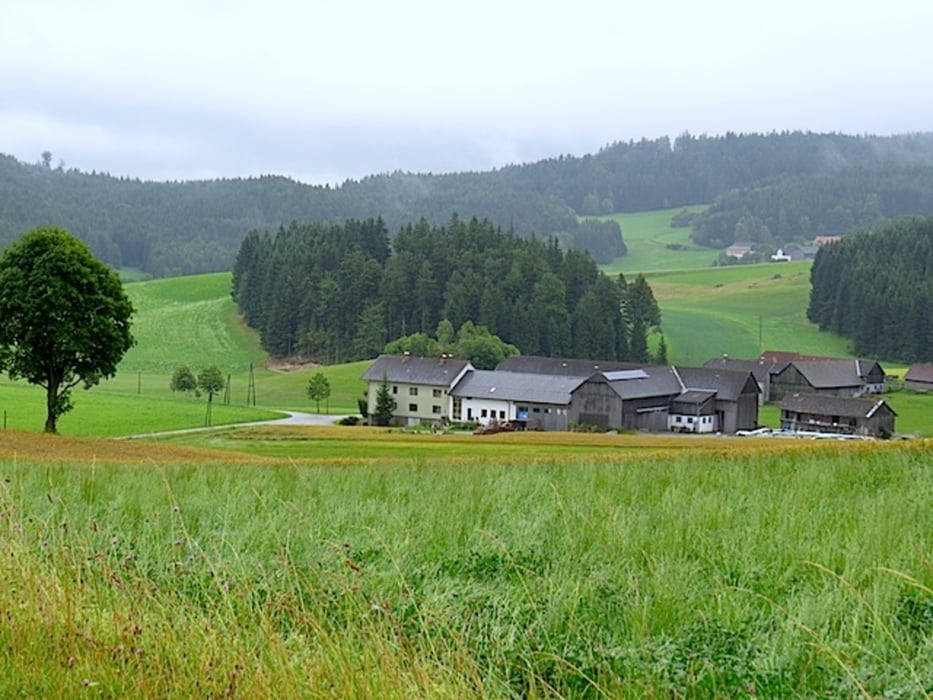 ZWalk - Arbesbach – Unterwegs im Arbesbach- und Lohnbachtal