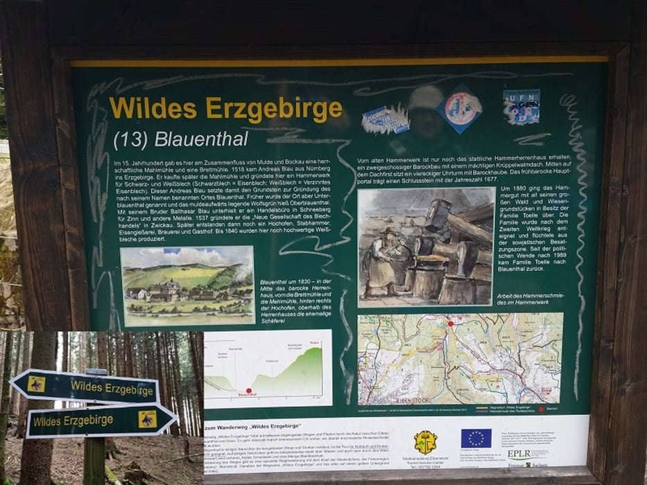Wildes Erzgebirge