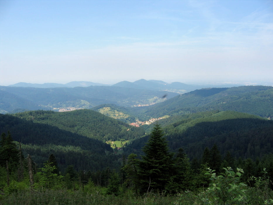 Baiersbronn Alte Weinstraße Hohloh Weissenbach und zurück