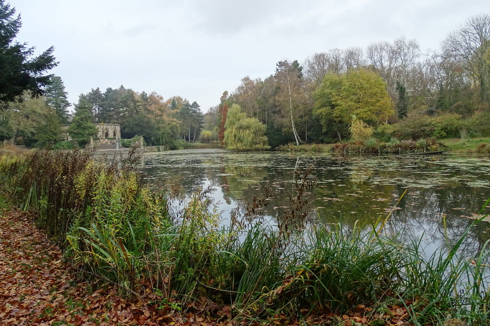 Natürliches Ruhrgebiet