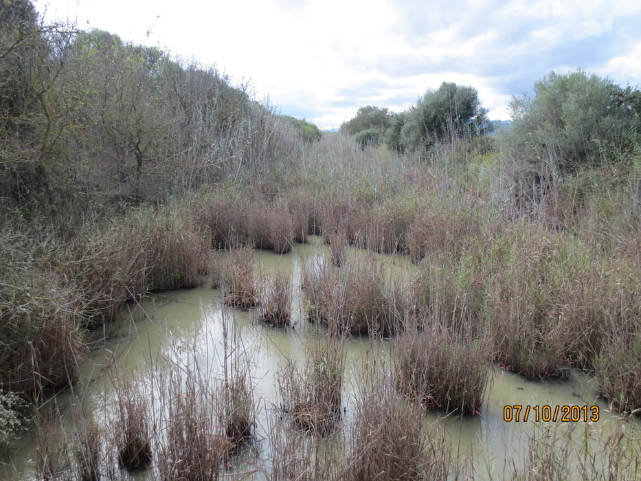 eine Tour im NSG von Albufera, Mallorca