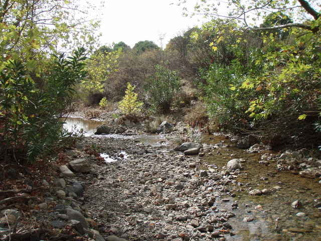 Kozak Mountains Walk 01