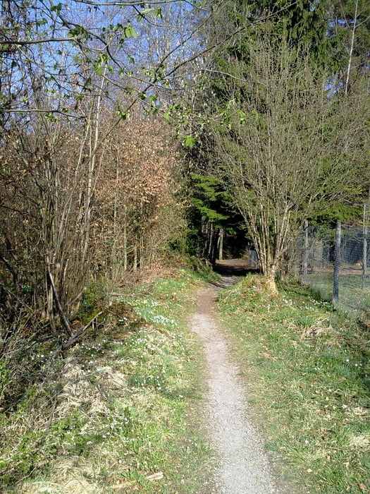 Trails Villingen und die Baar