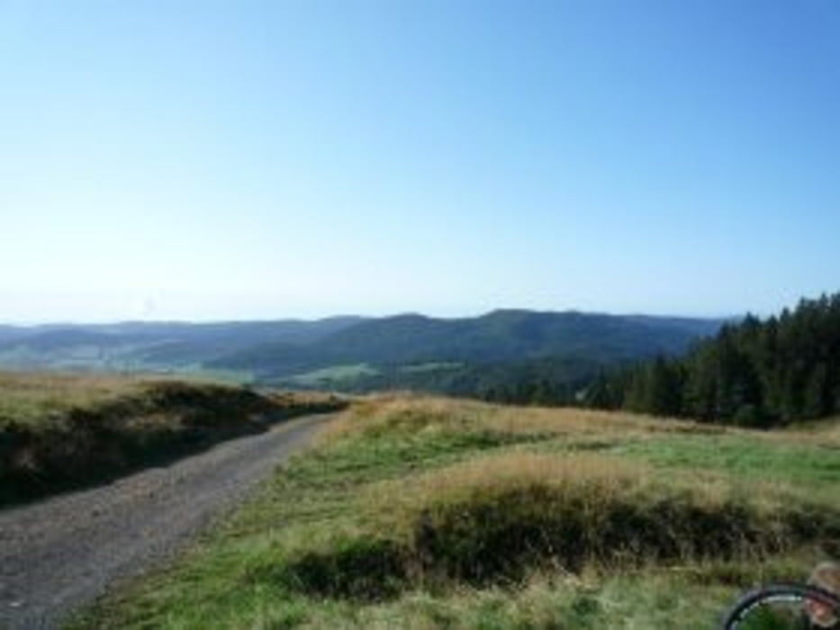 Kirchzarten - Bernau (Krunkelbachhütte)