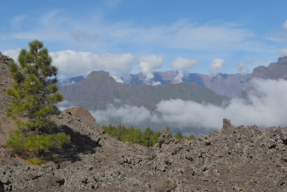 Kanareninsel La Palma: El Paso-Llano del Jable-Centro de Visitantes