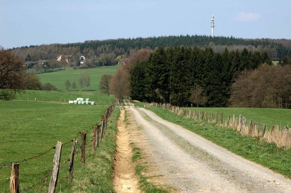 Auf den Heckberg