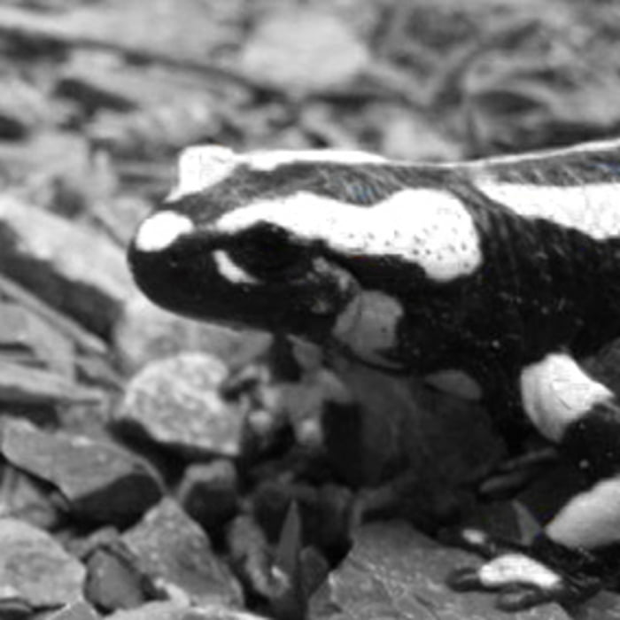Von Mössingen über Haigerloch nach Felldorf, Hirrlingen und Ofterdingen
