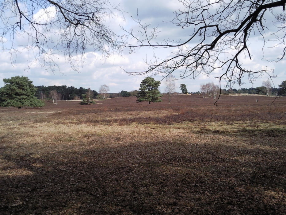 bis zur Heide und zurück