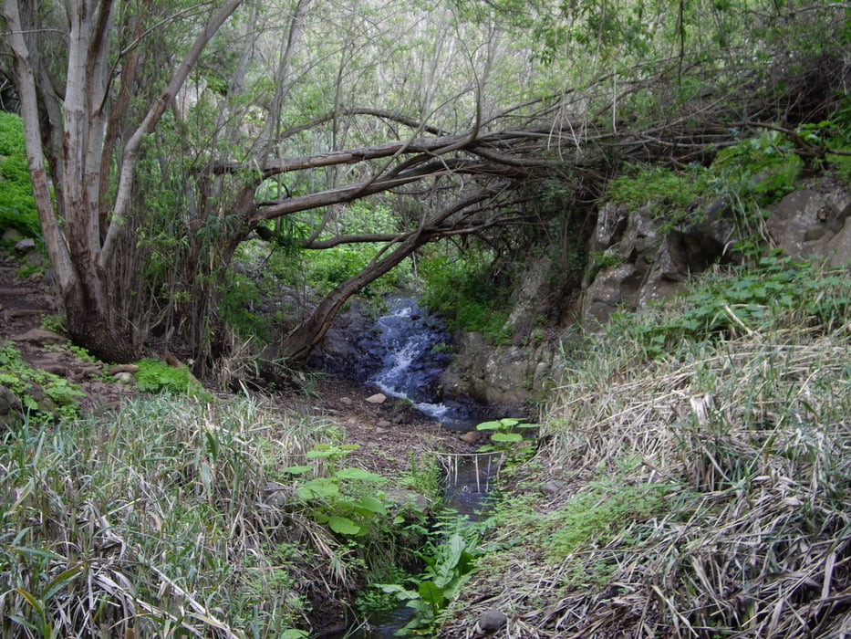Barranco Cernicalos