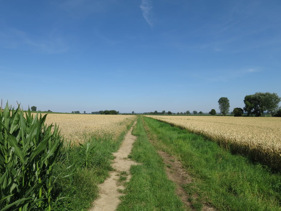 Straßenvermeidungsrunde