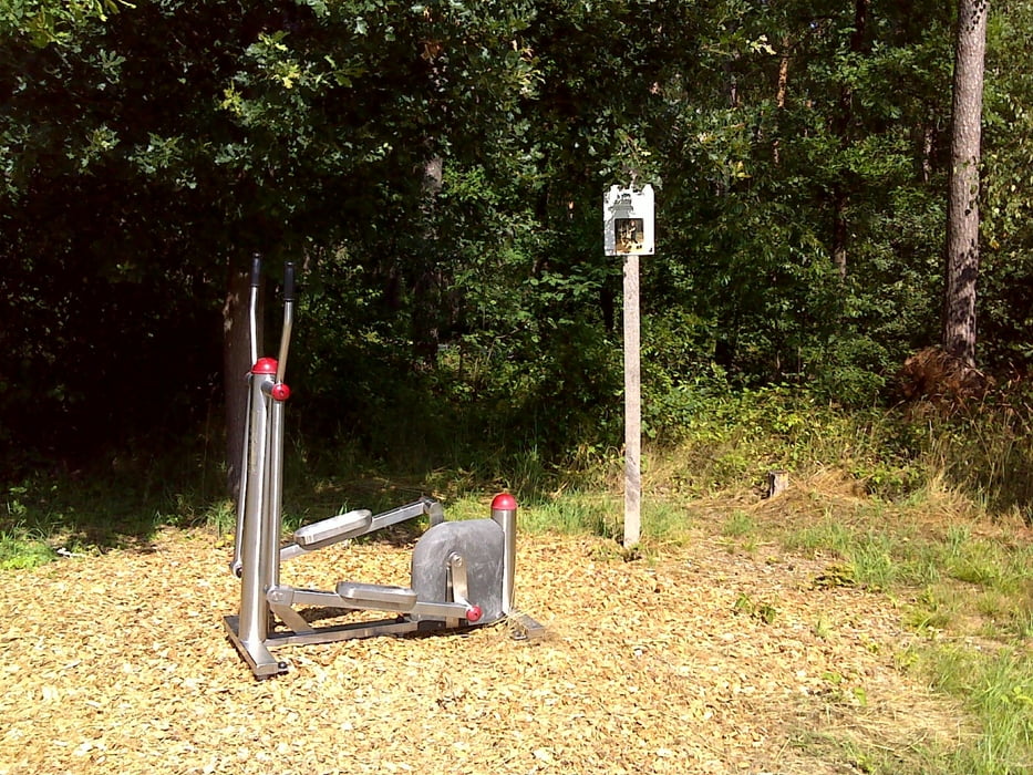 Trimmdichpfad Schwabach/Eichwasen