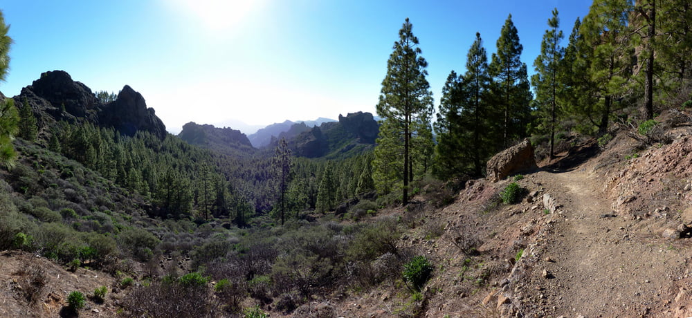 Rundwanderung um den Roque Nublo