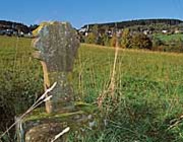 Steinhauerweg Losheim / Britten 