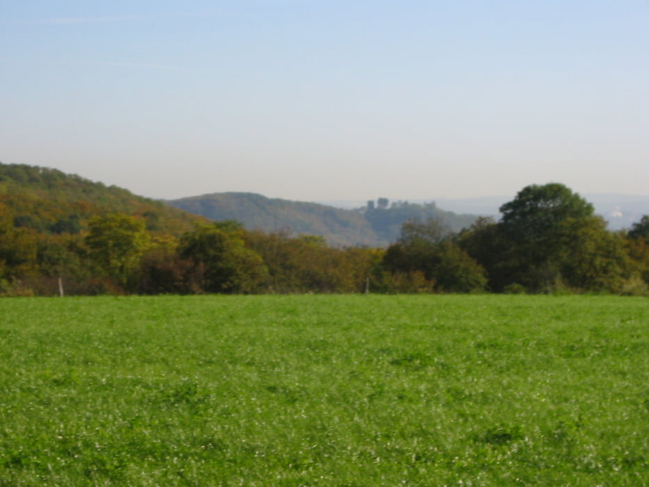 Fischerberg - Runde