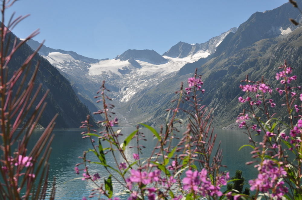 Vom Tegernsee an den Kalterer See mit Dolomiten-Runde