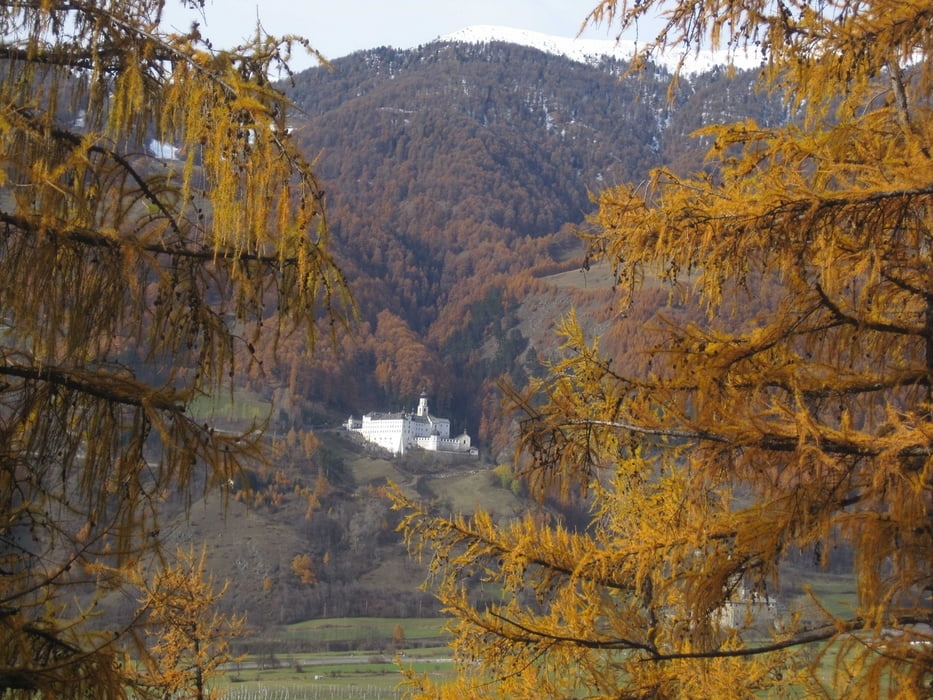 Malser Sonnensteig 17- Joggen_Wandern-Südtirol