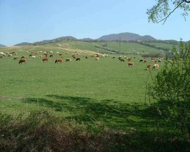 20070412_Zo Sološnice cez Karpaty do Doľan