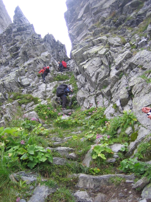 Von der Chemnitzer Hütte zur Schwarzensteinhütte über den "Stablerweg"
