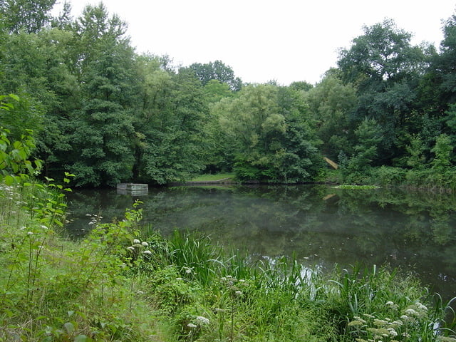 Saarbrücker Wildnis