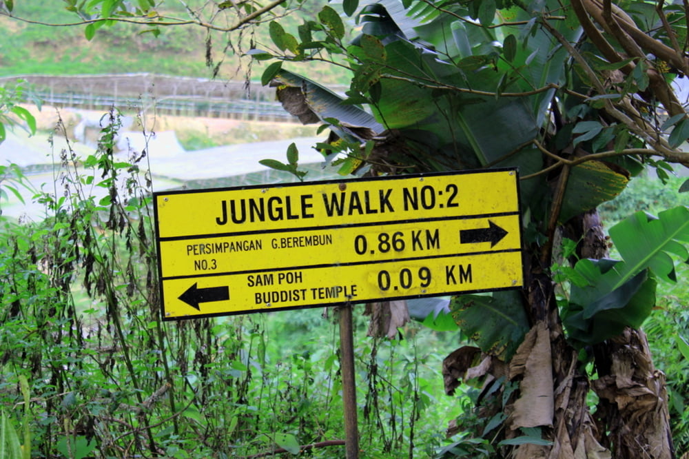 Jungle Walk - Cameron Highlands - Gunung Berembun