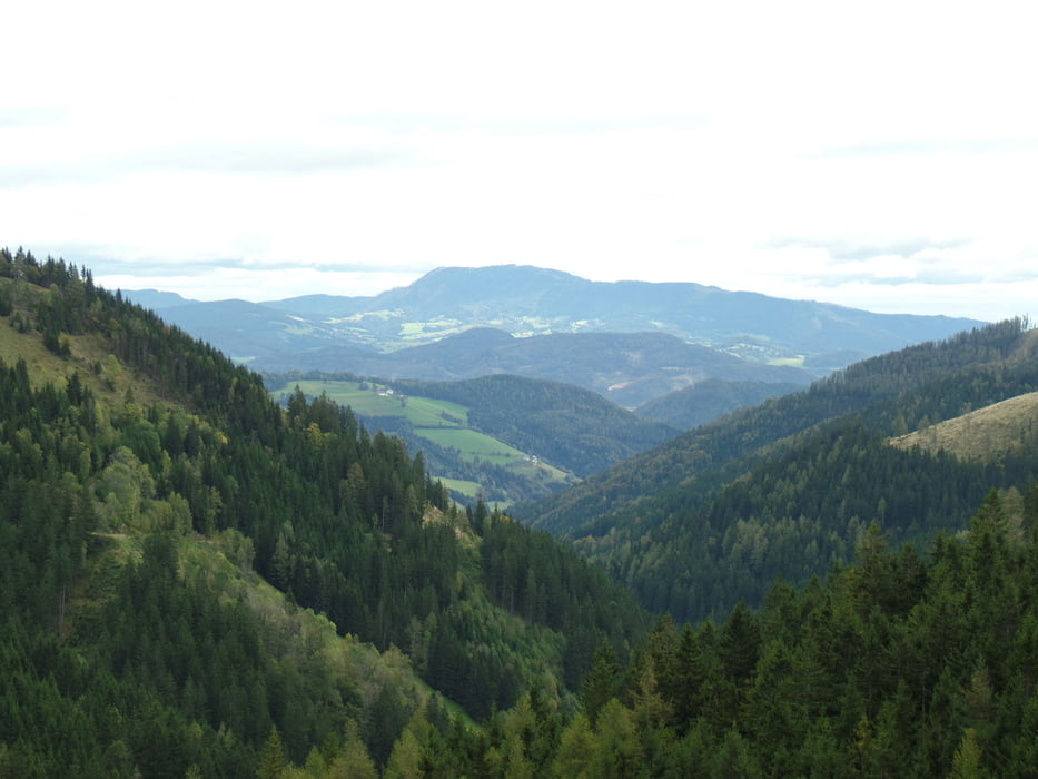 Dreimal über 1000m......