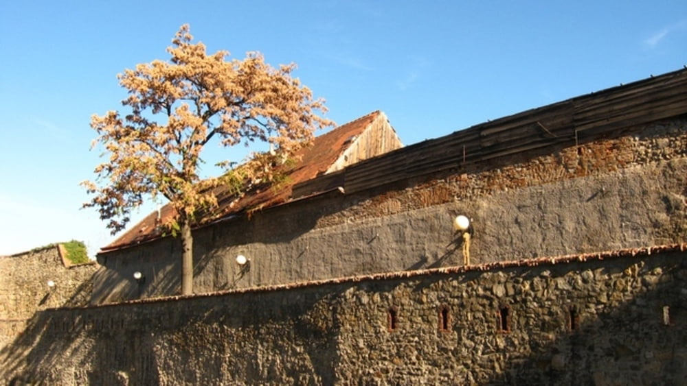 20121108_Švihaj Šuhaj