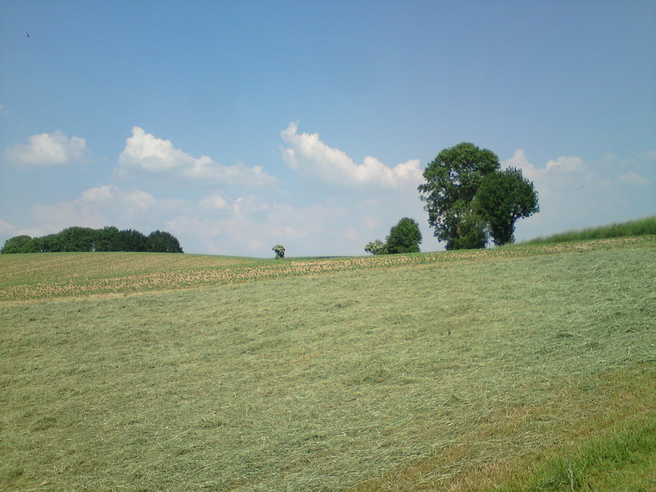 Heiligenhaus Heide 5,6km