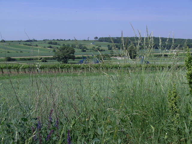 Zweigelt Radweg im Weinviertel