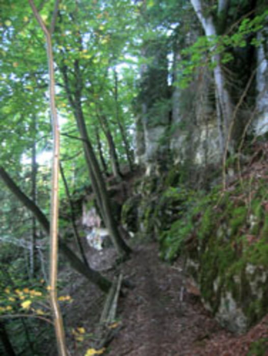 Trailtour entlang der Naab bei Regensburg