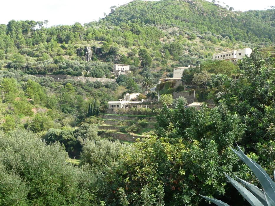 Mallorca Tag 4