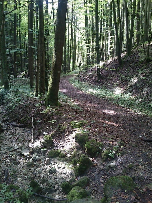 Familienwanderung - Muggendorf, Engelhardsberg und Höhlen