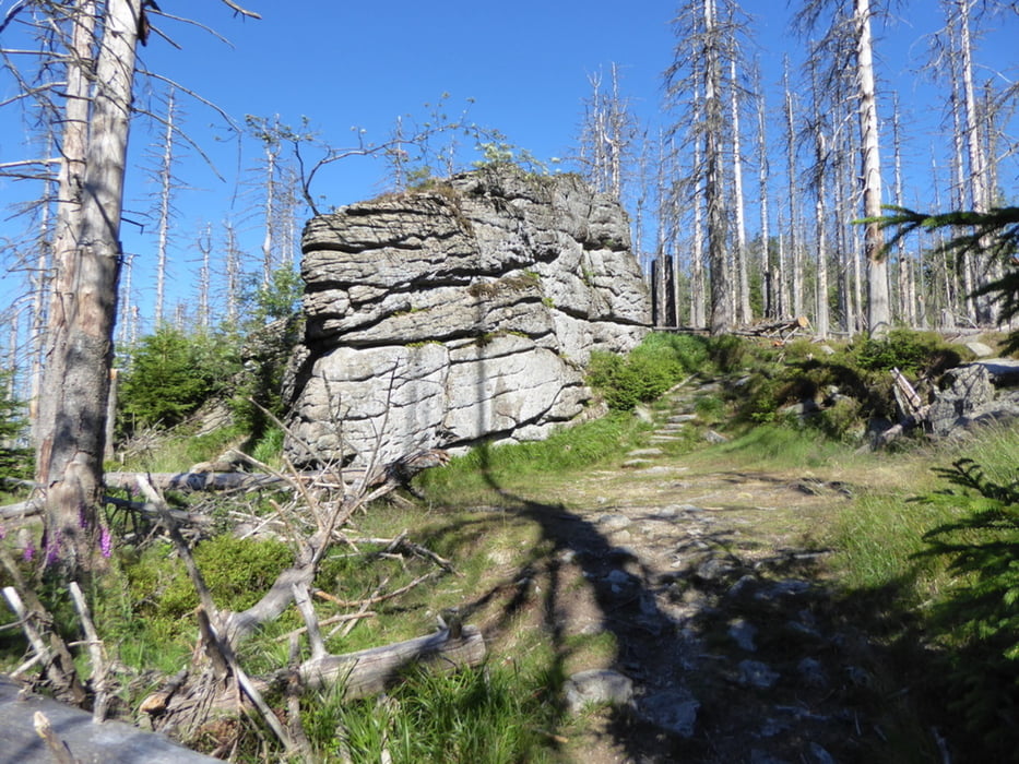Achtermann - Wurmberg - Hexentreppe - Kalte Bode