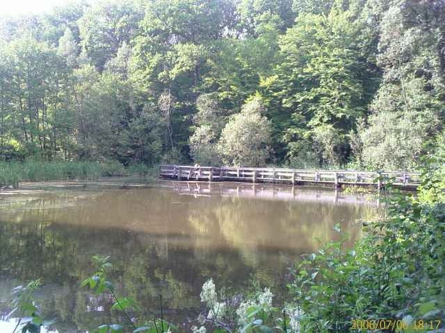 Dippach