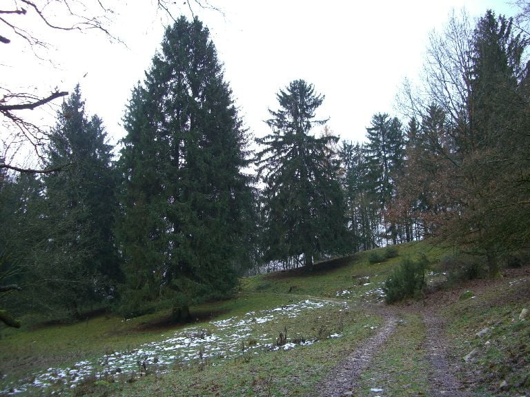 Hochlandsteig-Kainsbachtal Runde