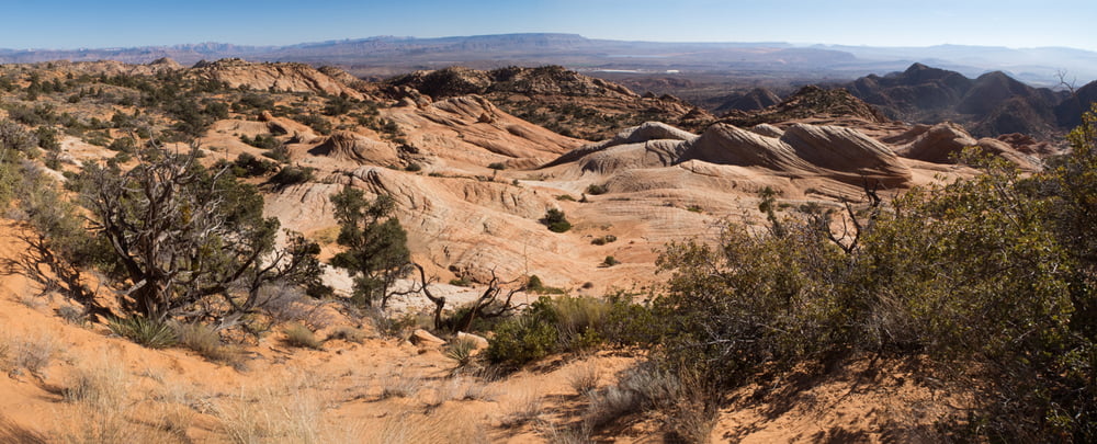 Utah Saint George - Yant Flat