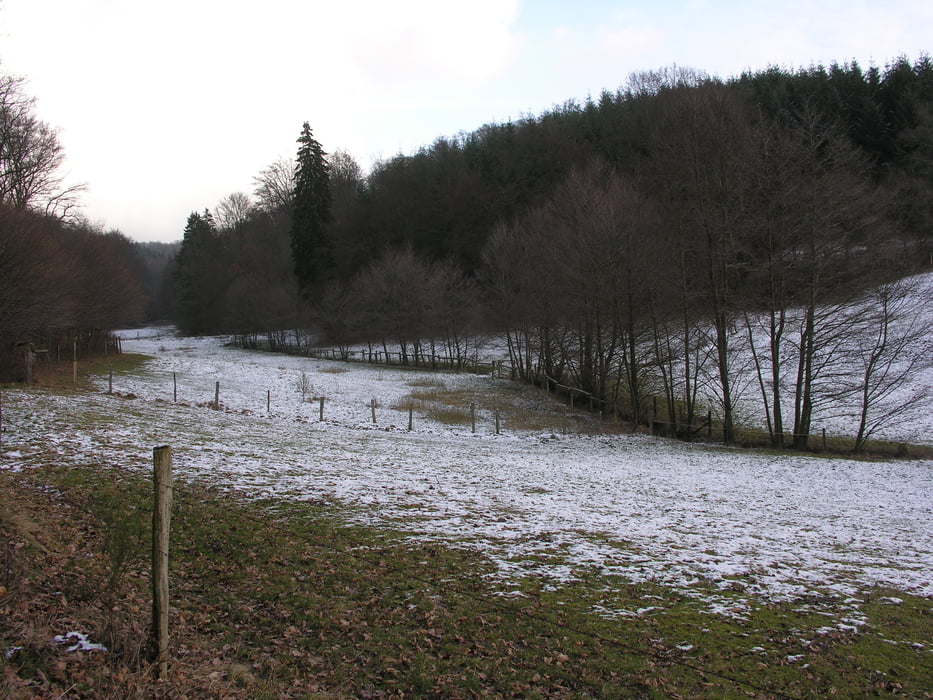 Rundwanderung: Heinzenberg - Wiesenbachtal - Mönstadt - Heinzenberg