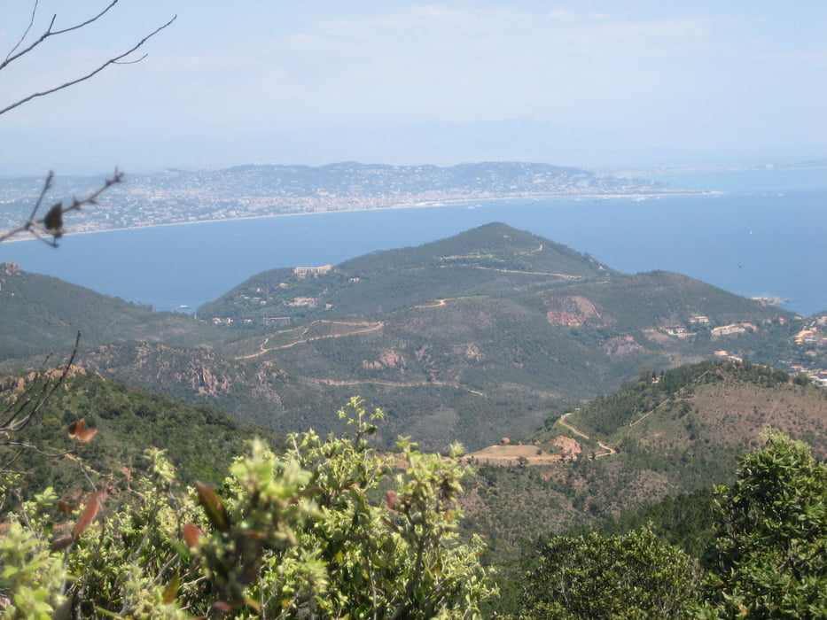Esterel - Pic de l' Ours