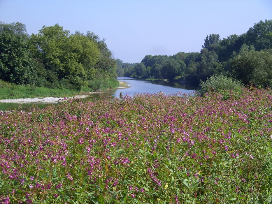Im Traisental zwischen St. Pölten und Donau